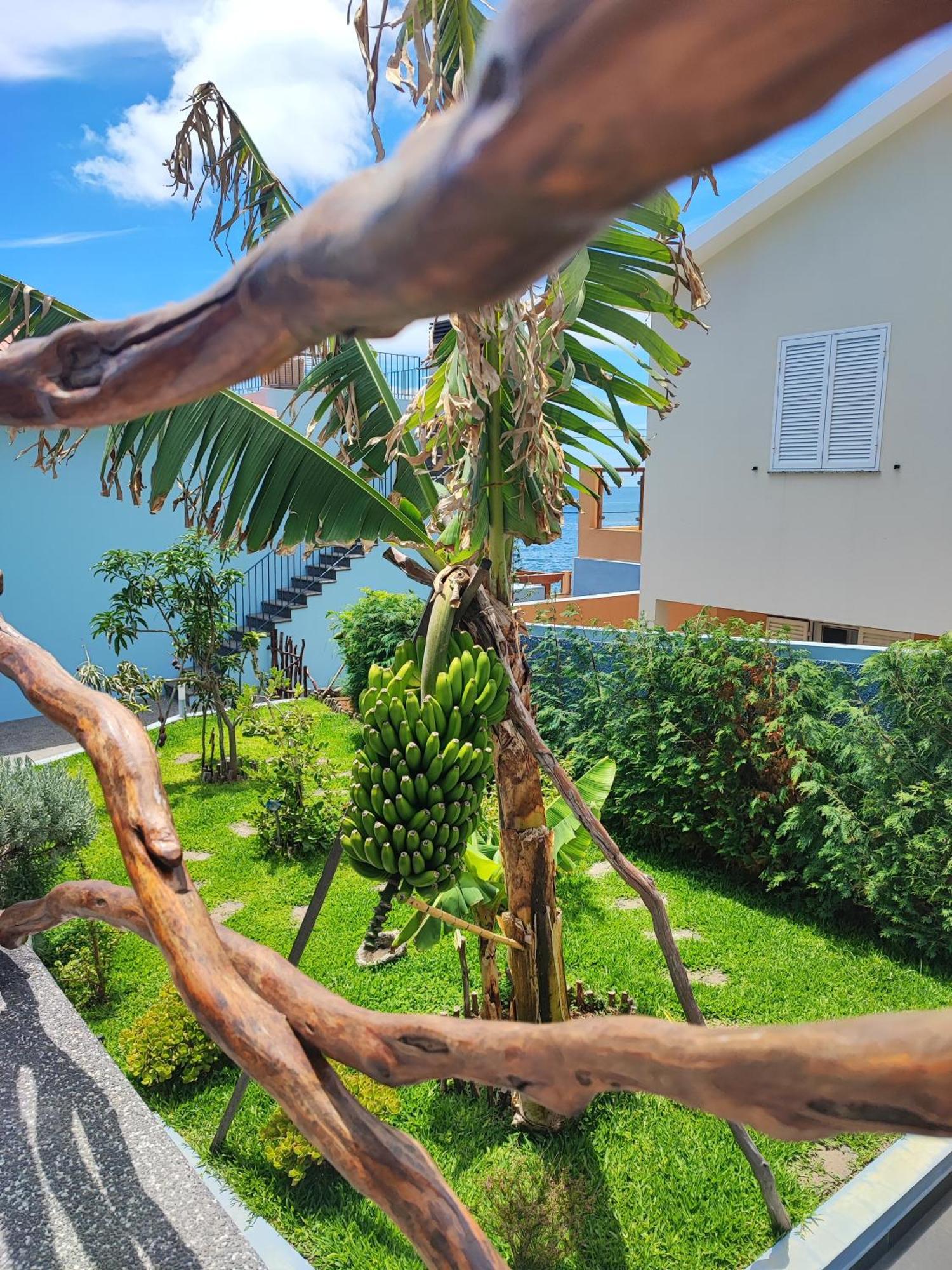 Cottage Pearl - Rural Holiday Experience By Seapearl Paul do Mar  Buitenkant foto
